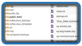 How to Add a Robots txt File to Your WordPress Site for Better SEO