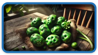 Warning: This Everyday Vegetable Can Be Deadly in Excess