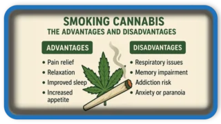 Effects of Cannabis Use: Medical Perspectives