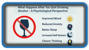 What Happens After Quitting Alcohol