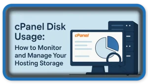 cPanel Disk Usage