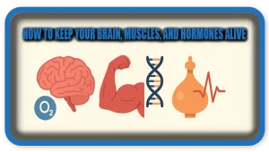 How To Keep Your Brain, Muscles, and Hormones Alive