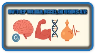 How To Keep Your Brain, Muscles, and Hormones Alive
