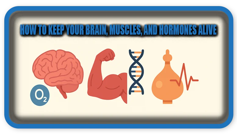How To Keep Your Brain, Muscles, and Hormones Alive