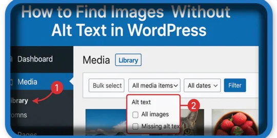 How to Find Images Without Alt Text in WordPress