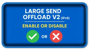 Large Send Offload V2 (IPv6)