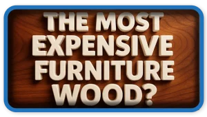The Most Expensive Furniture Wood