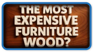 The Most Expensive Furniture Wood?