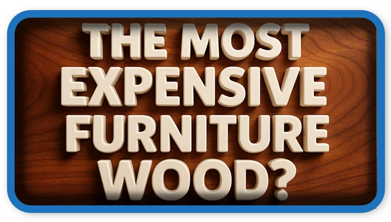 The Most Expensive Furniture Wood