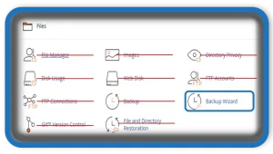 cPanel Backup Wizard