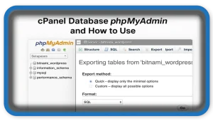 cPanel Database phpMyAdmin and How to Use It Effectively