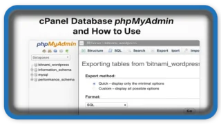 cPanel Database phpMyAdmin and How to Use It Effectively