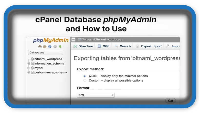 cPanel Database phpMyAdmin and How to Use It Effectively