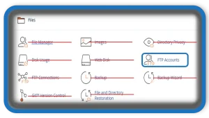 cPanel FTP Accounts
