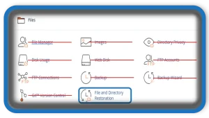 Ultimate cPanel Guide For File and Directory Restoration