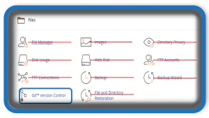 cPanel Git Version Control