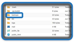 Daily WordPress Backup via Cron Job: Ultimate HelpZone Guide