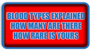 Blood Types Explained How Many Are There How Rare Is Yours