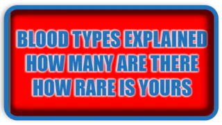 Blood Types Explained How Many Are There How Rare Is Yours