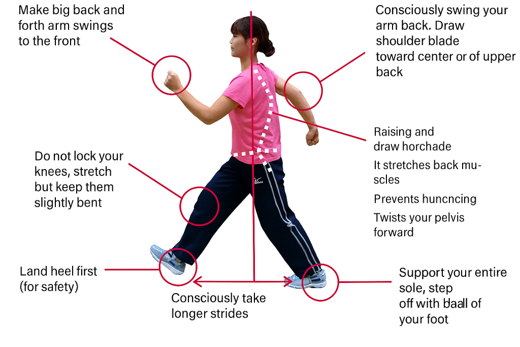 Japanese Walking for the Older People and Beginners