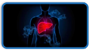 The Silent Killer How To Damage Your Liver