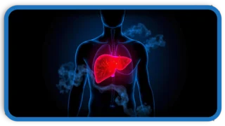 The Silent Killer How To Damage Your Liver