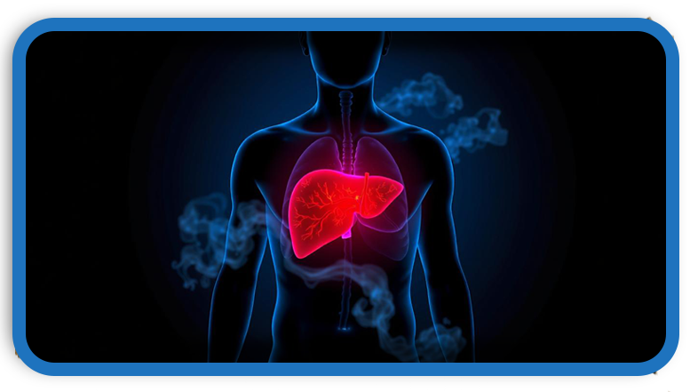 The Silent Killer How To Damage Your Liver