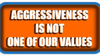 Aggressiveness Is Not One of Our Values