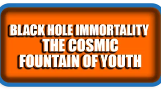 Black Hole Immortality – The Cosmic Fountain of Youth