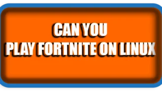 Can You Play Fortnite on Linux