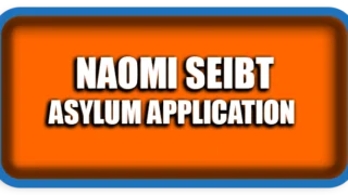 Naomi Seibt: Asylum Application in the U.S. Explained