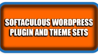 What Are WordPress Plugin And Theme Sets in Softaculous?