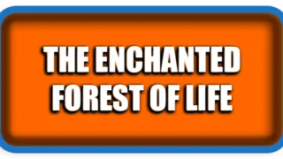 The Enchanted Forest of Life – Rediscovering Joy Before It’s Too Late