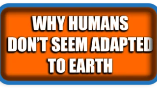 Why Humans Don’t Seem Adapted to Earth