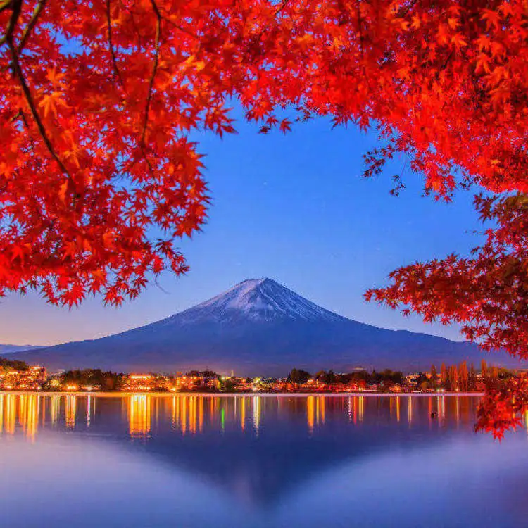 Why Choose Japan as Your Next Vacation Destination