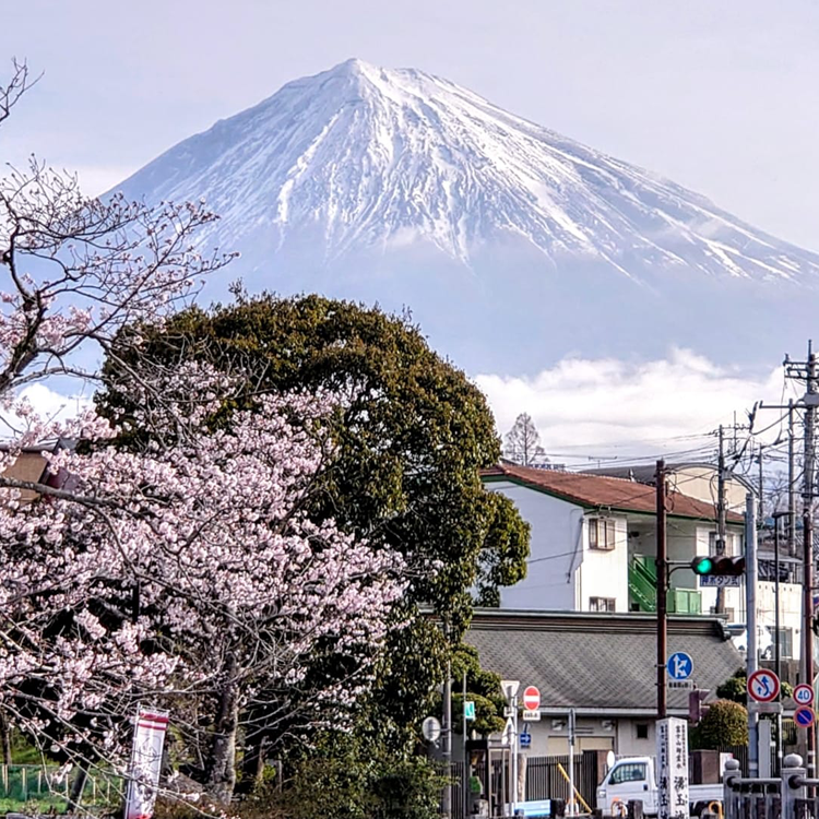 Why Choose Japan as Your Next Vacation Destination