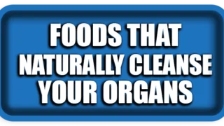 Foods That Naturally Cleanse Your Organs