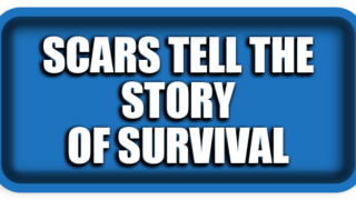 Scars Tell the Story of Survival