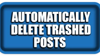 Automatically Delete Trashed Posts After X Days (WordPress PHP)
