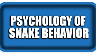 The Psychology of “Snake Behavior” in People