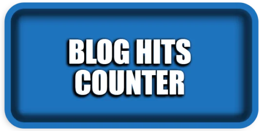 Blog Hits Counter: Automatic Site & Post Hits